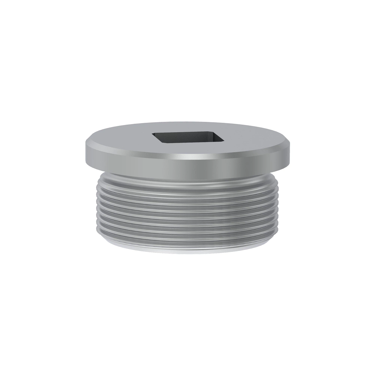 Fitting Plug M36X1