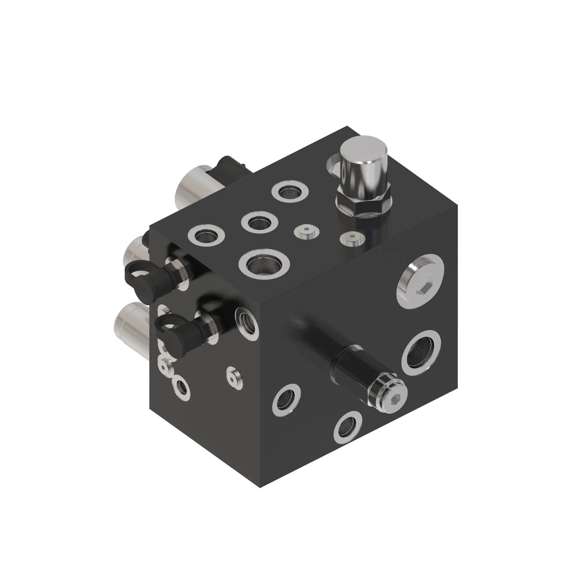 manifold