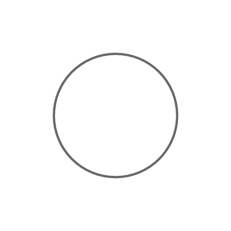 O-Ring