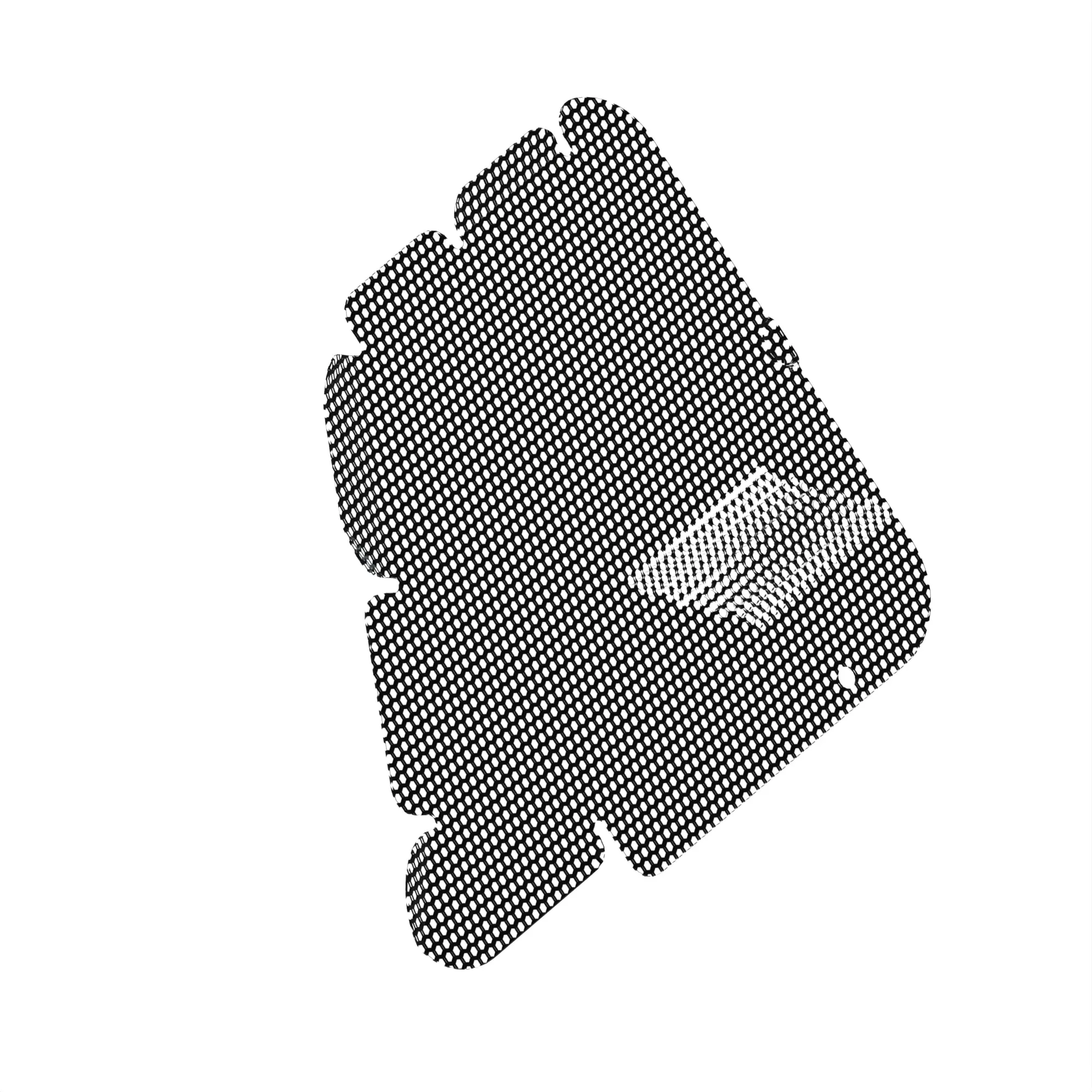 Screen