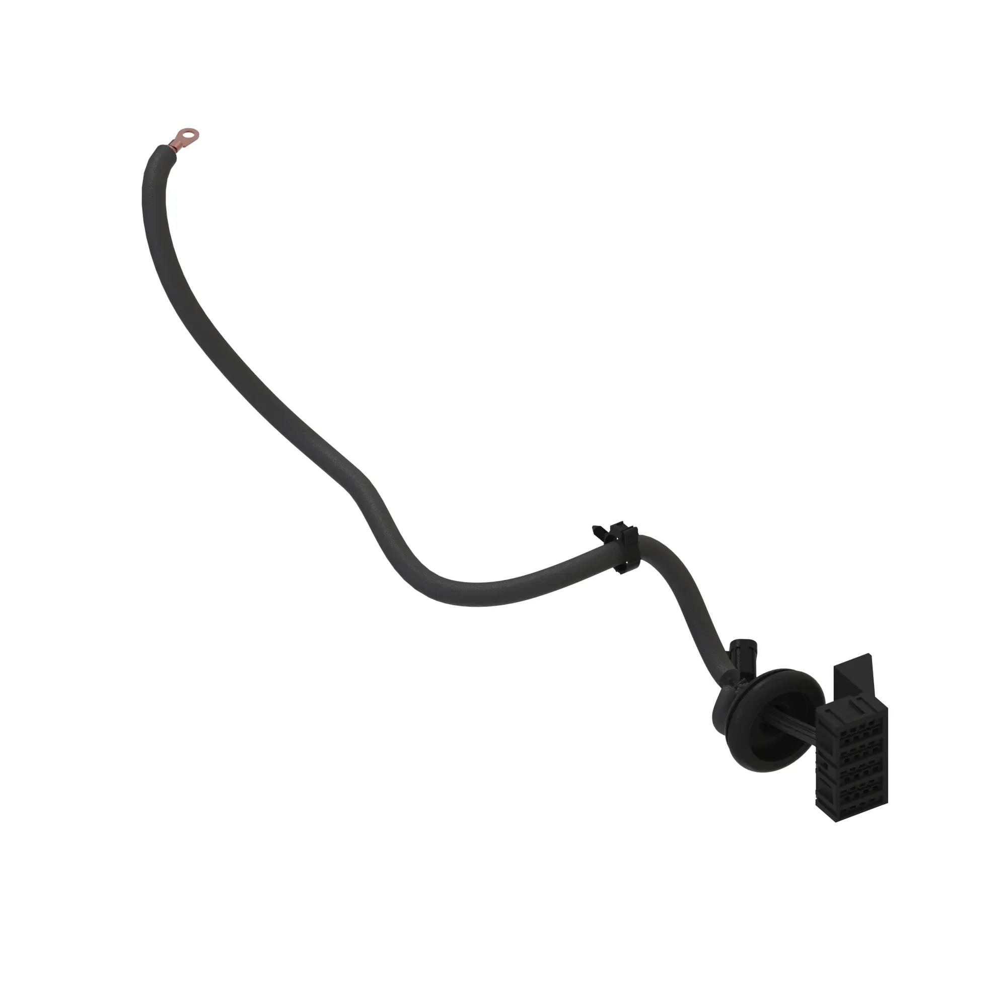 PTM, FUSE, CHINA BASE