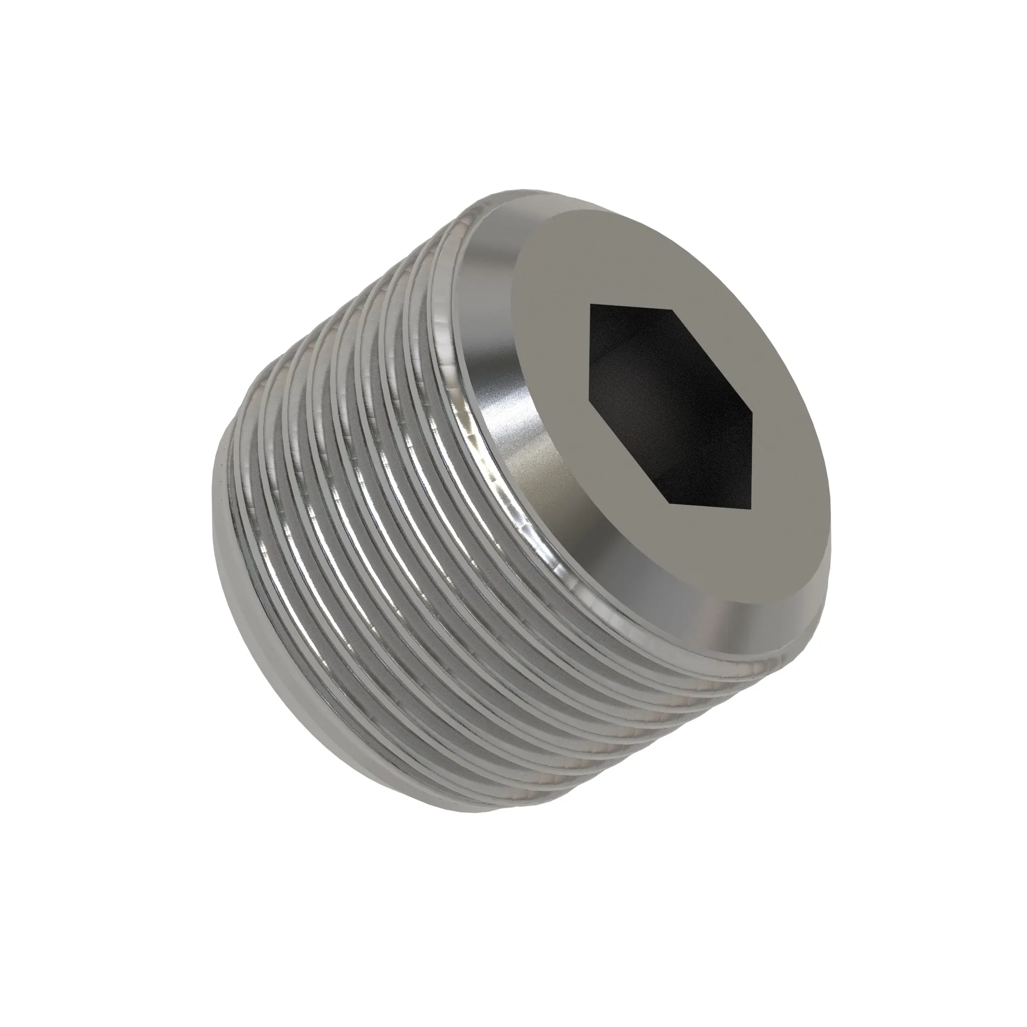 Pipe Plug