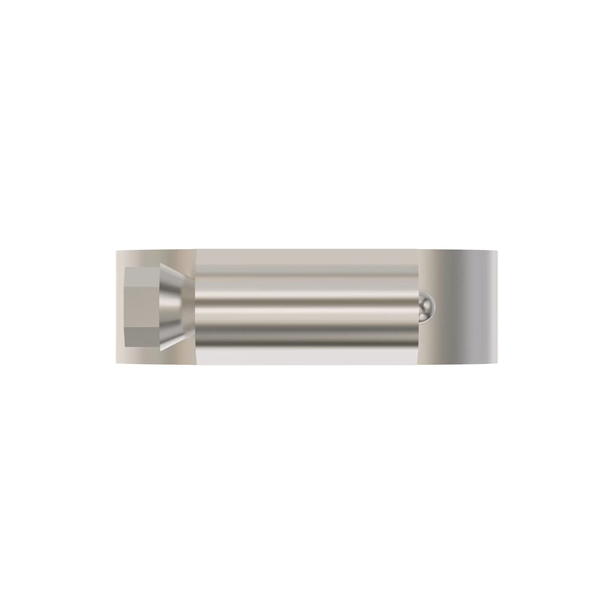 Hose Clamp