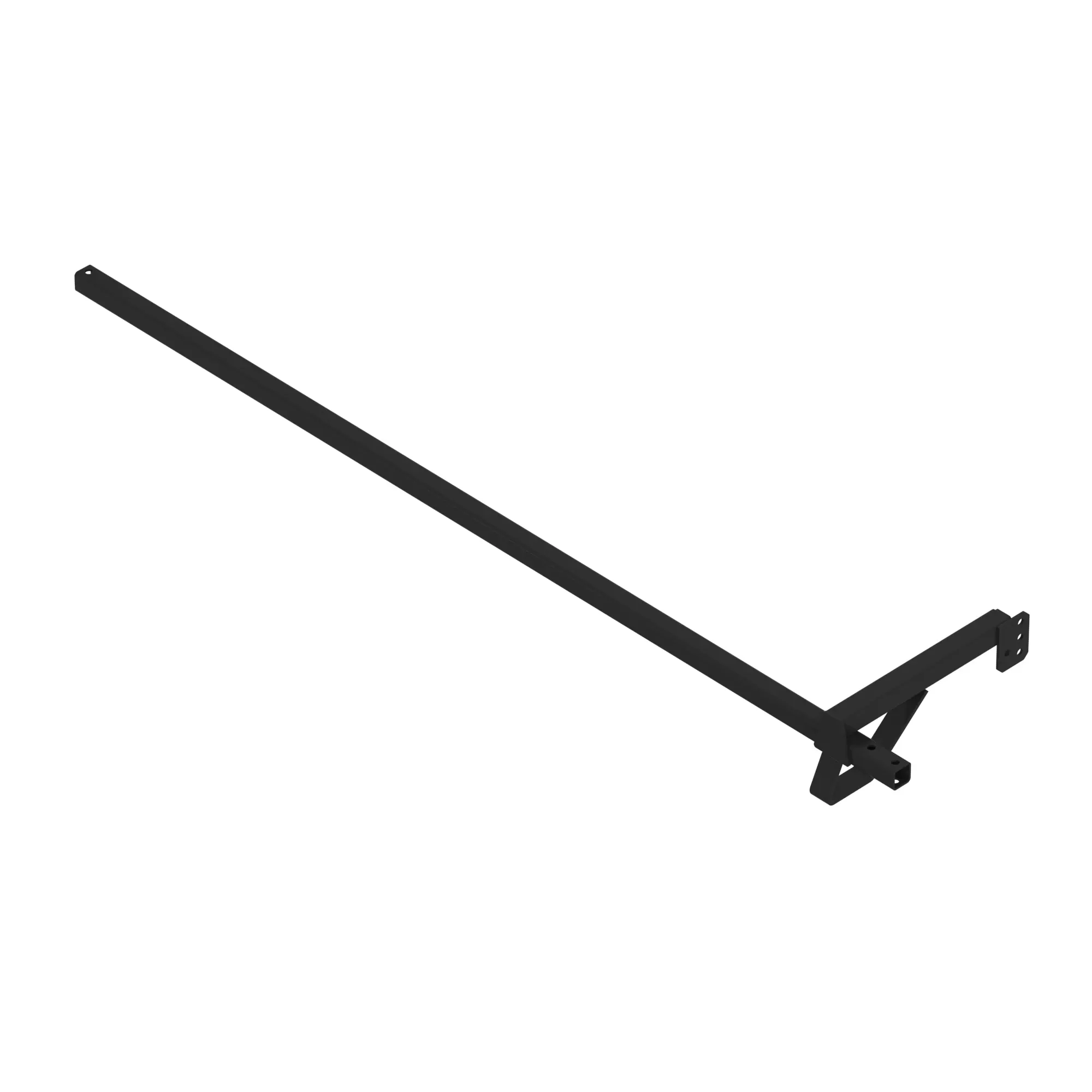 Arm