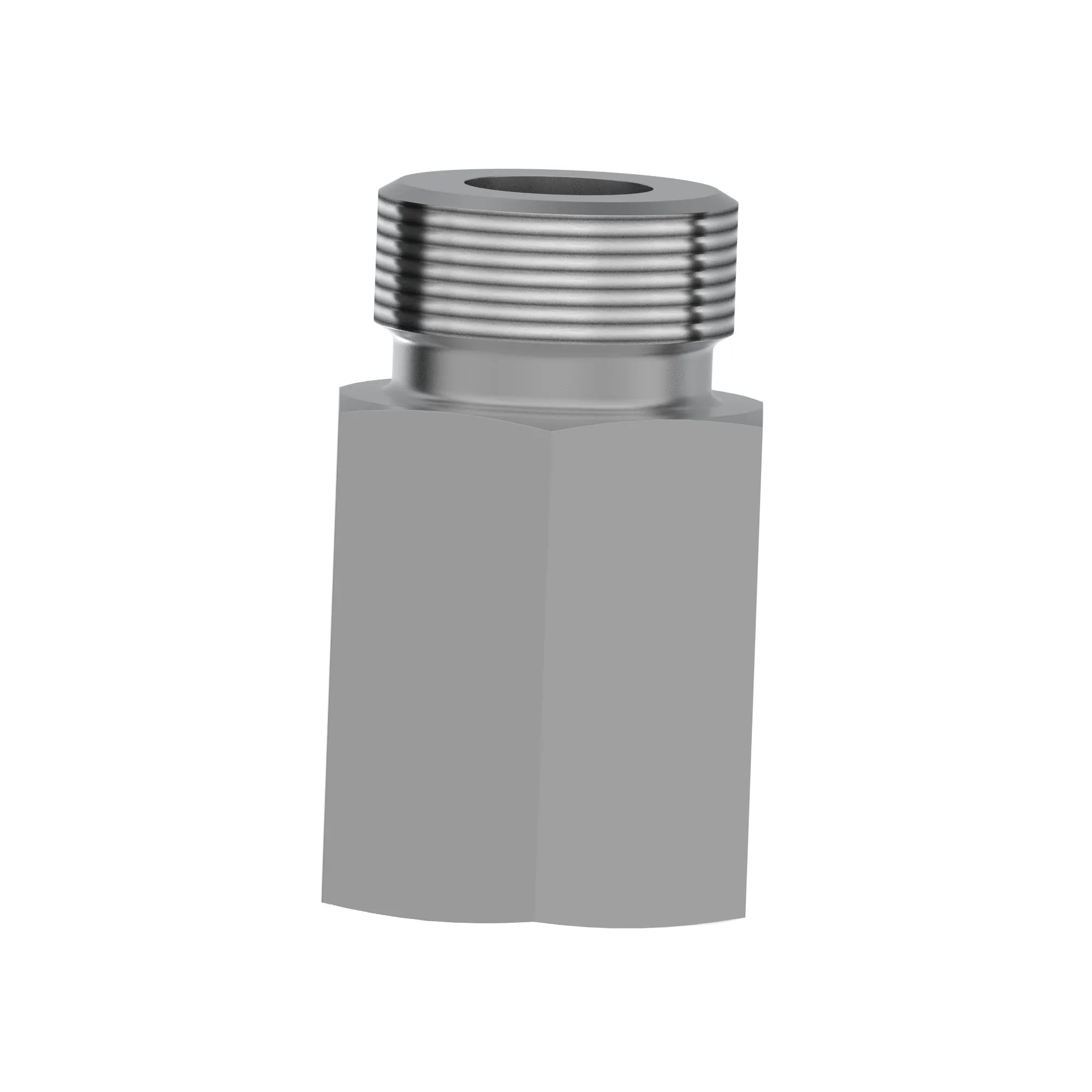 Fitting Plug