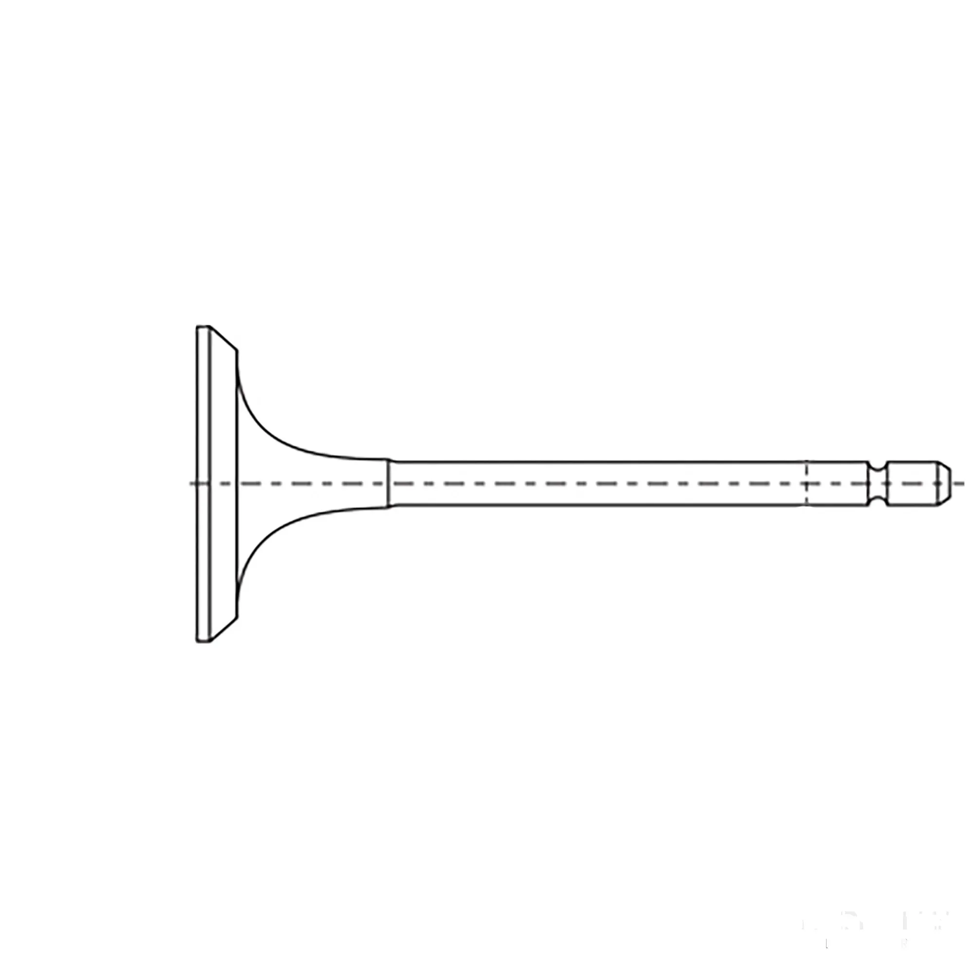 Intake Valve