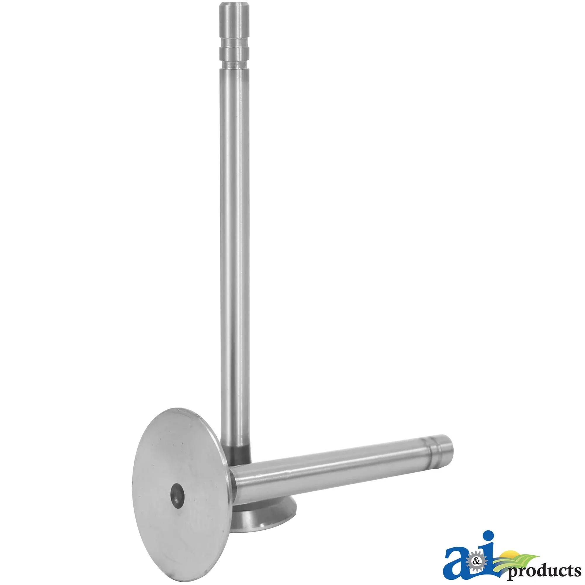 Exhaust Valve