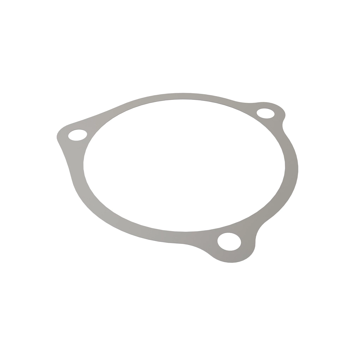 Shim With Holes 0.25MM (For Covers)