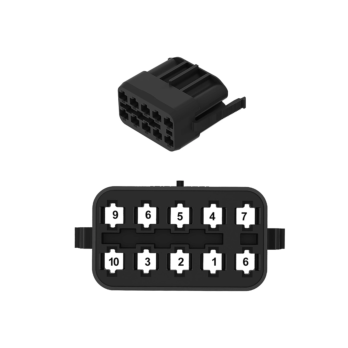Carling 10WAY Conn Pbt