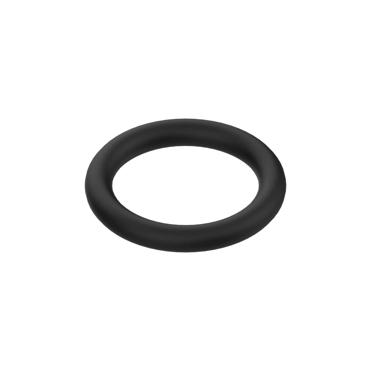 O-Ring, Fkm