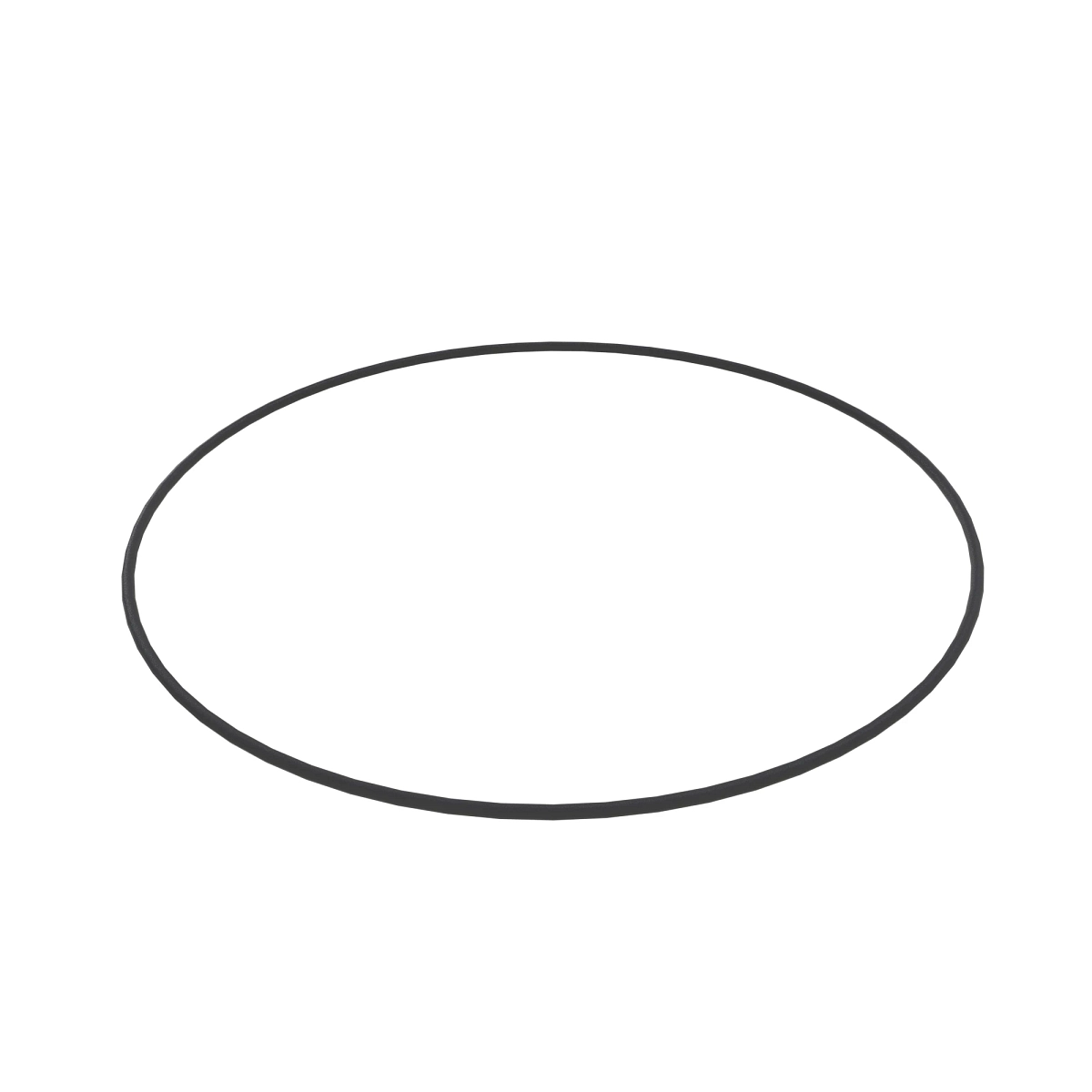 O-Ring