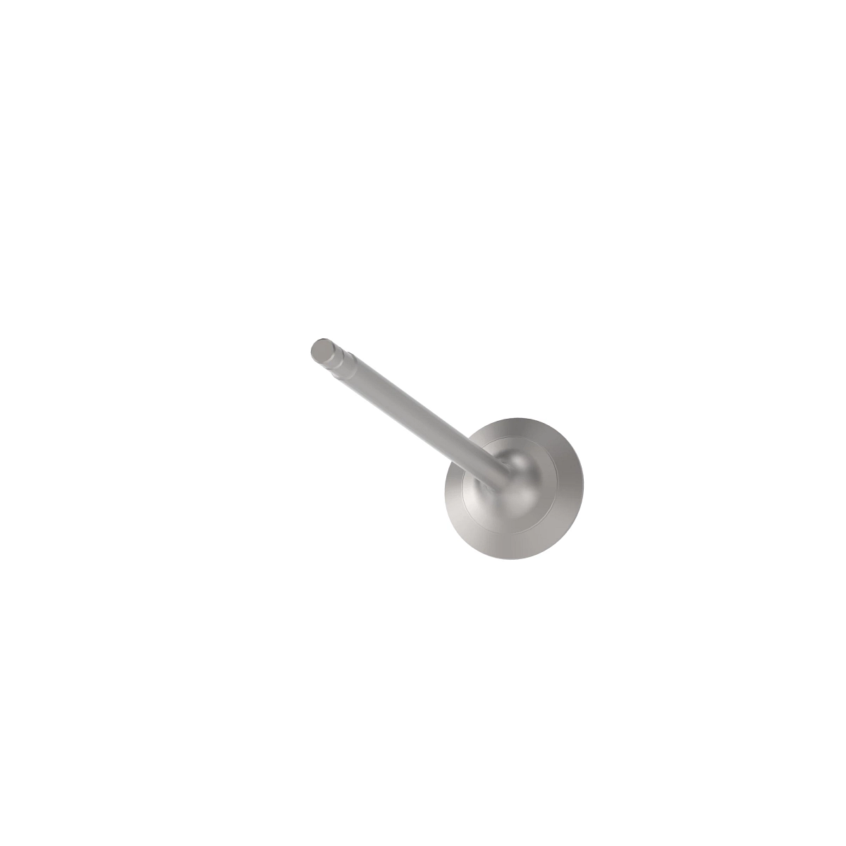 Exhaust Valve