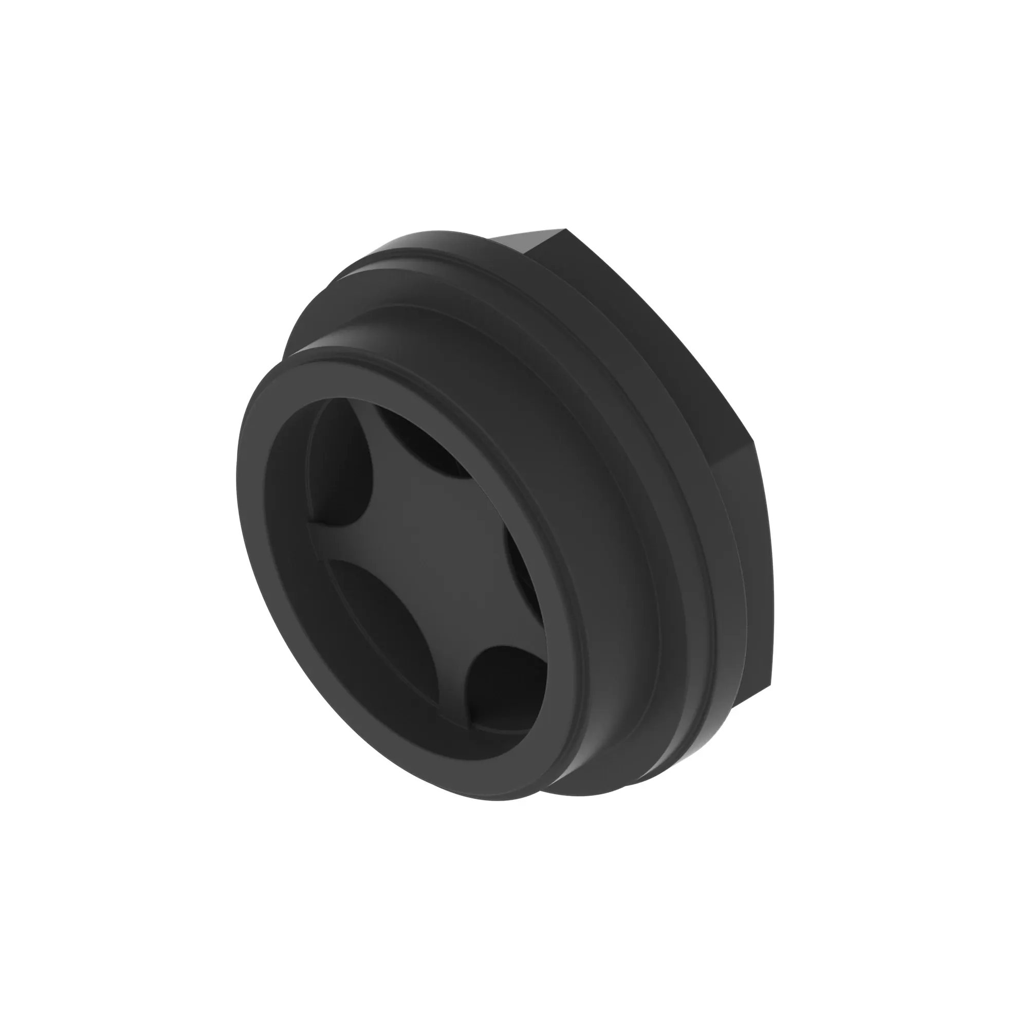 Sight Plug