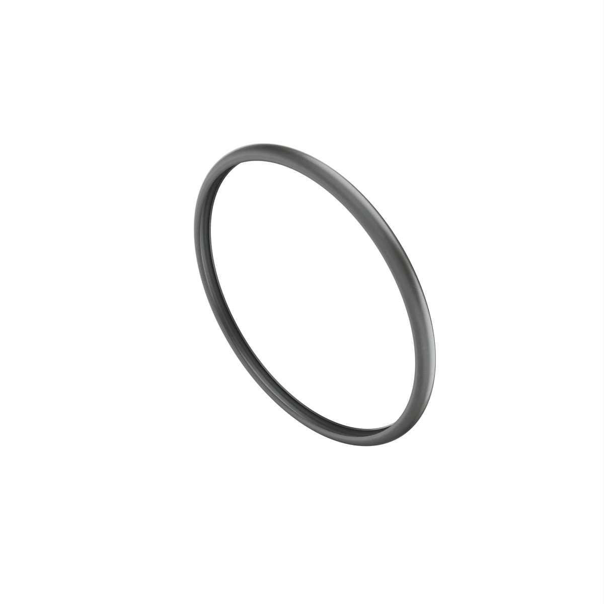 Sealing Ring, Hot Side EGR