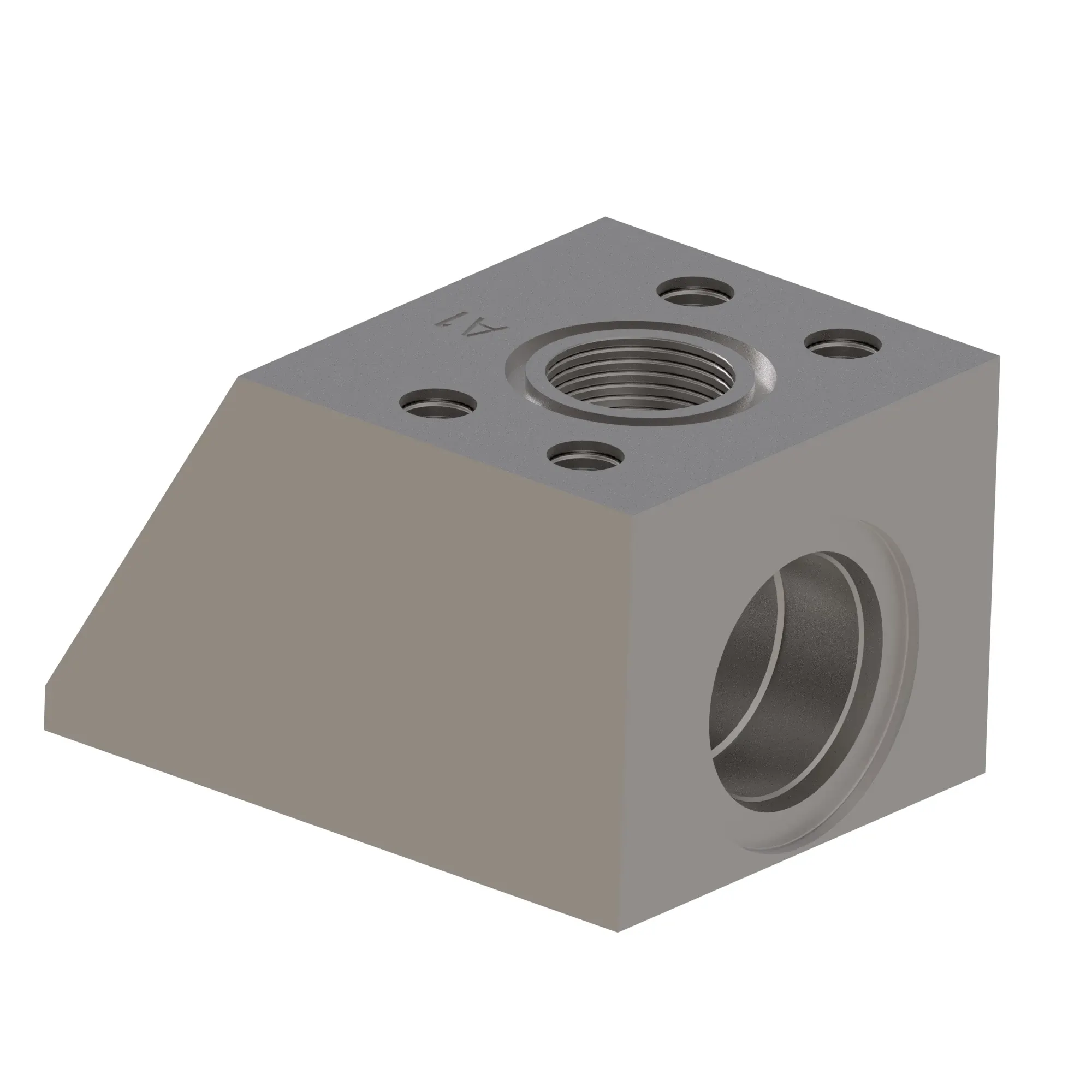 Manifold