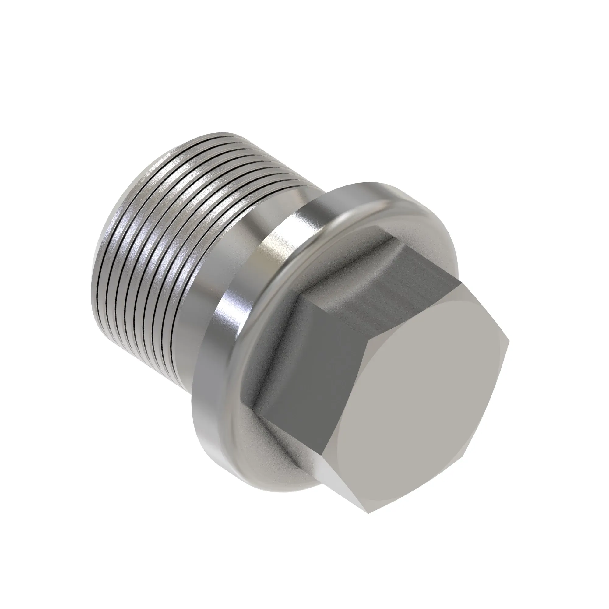Fitting Plug