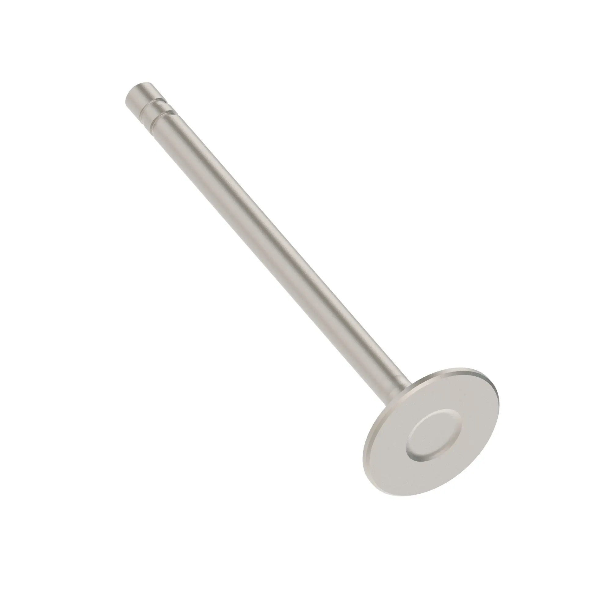 Intake Valve