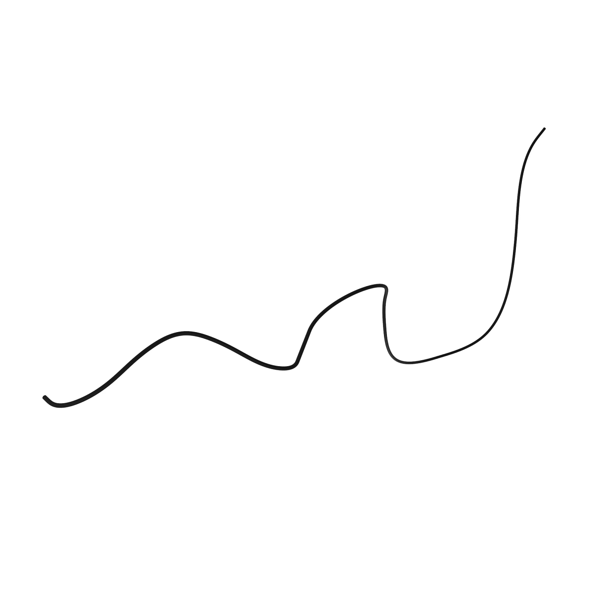 R564968: Ether Injection Hose