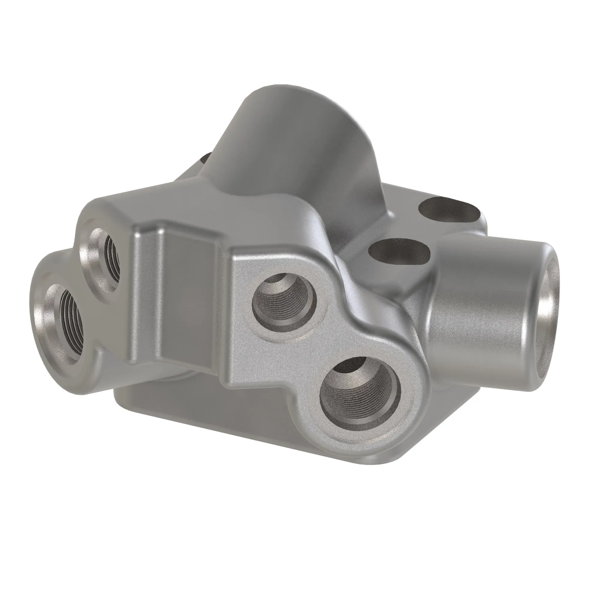 Manifold