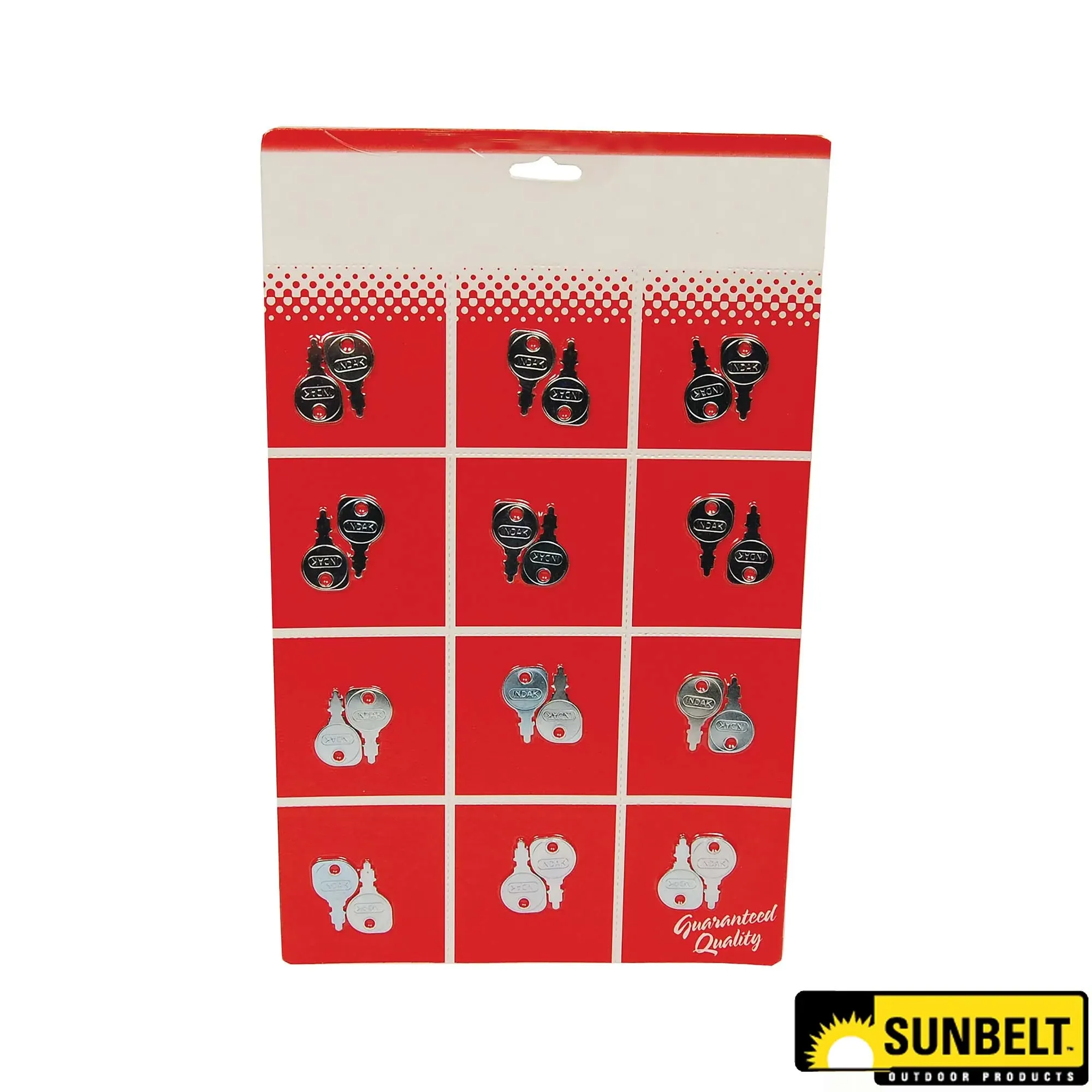 Sunbelt Ignition Key, 2 per card, 12 cards per piece - A-B1SB2938