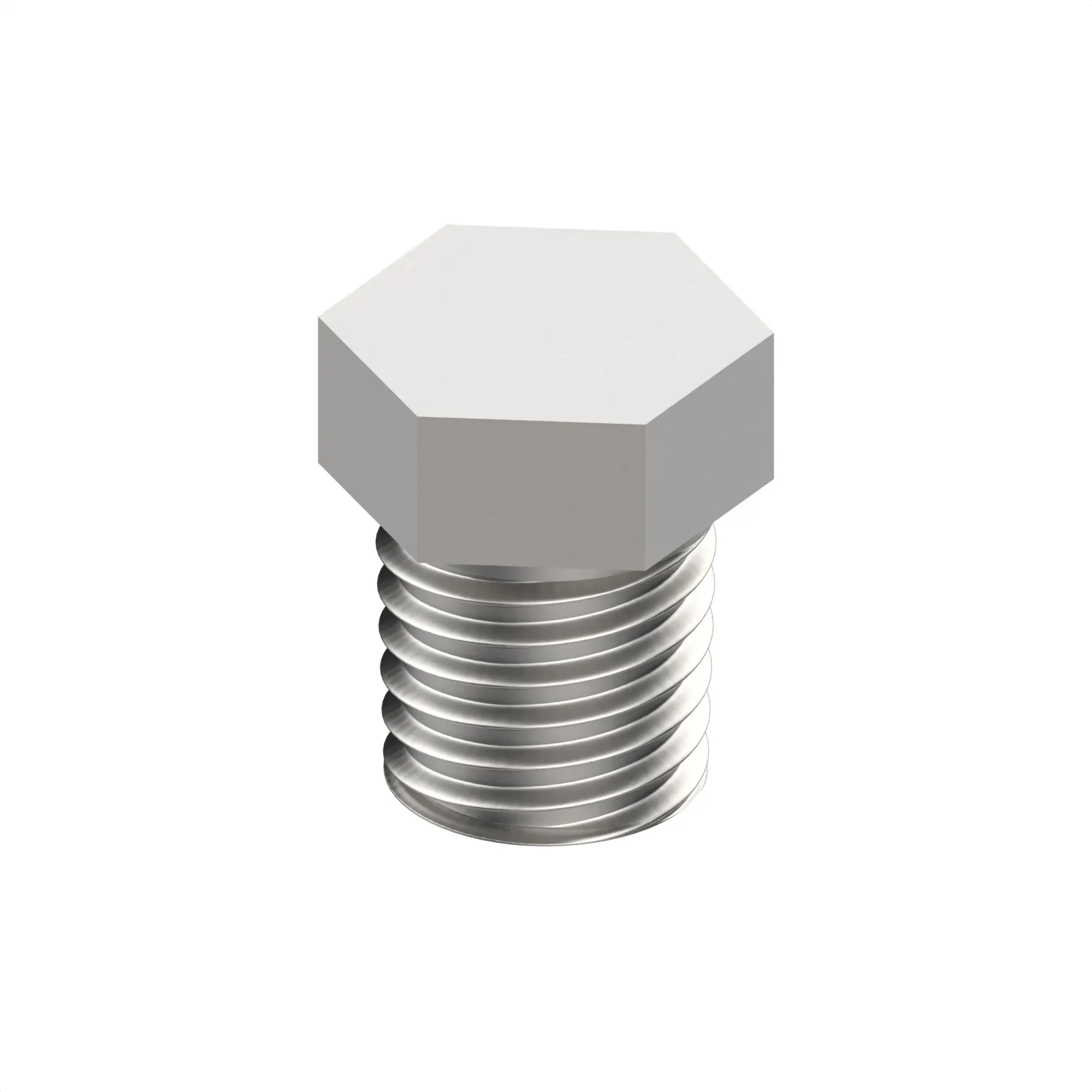 Pipe Plug