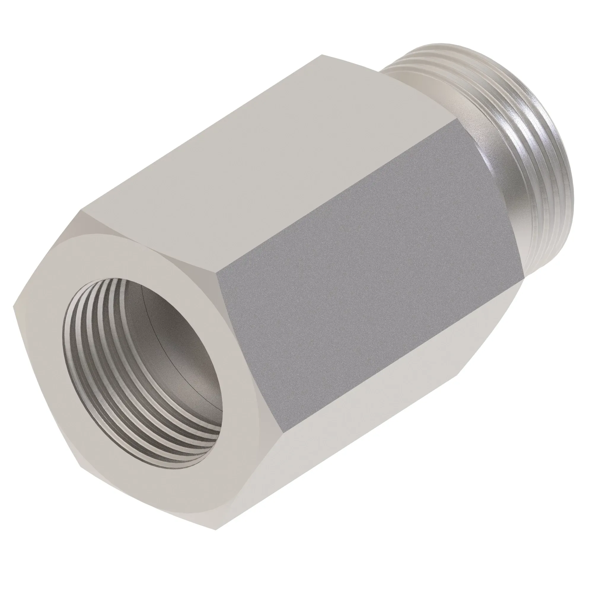 Check Valve