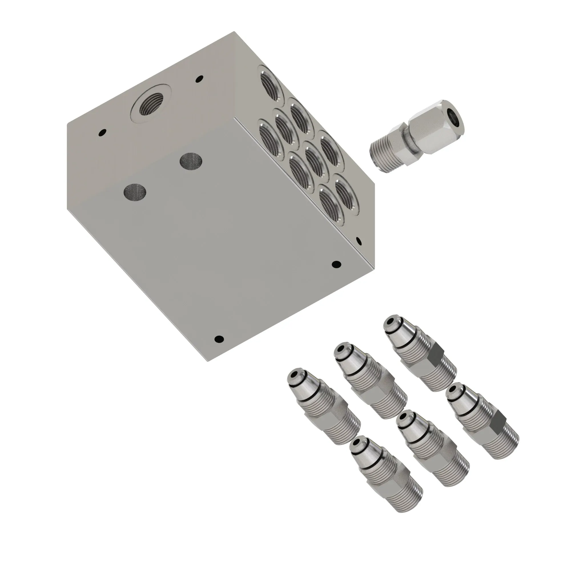 Manifold Kit