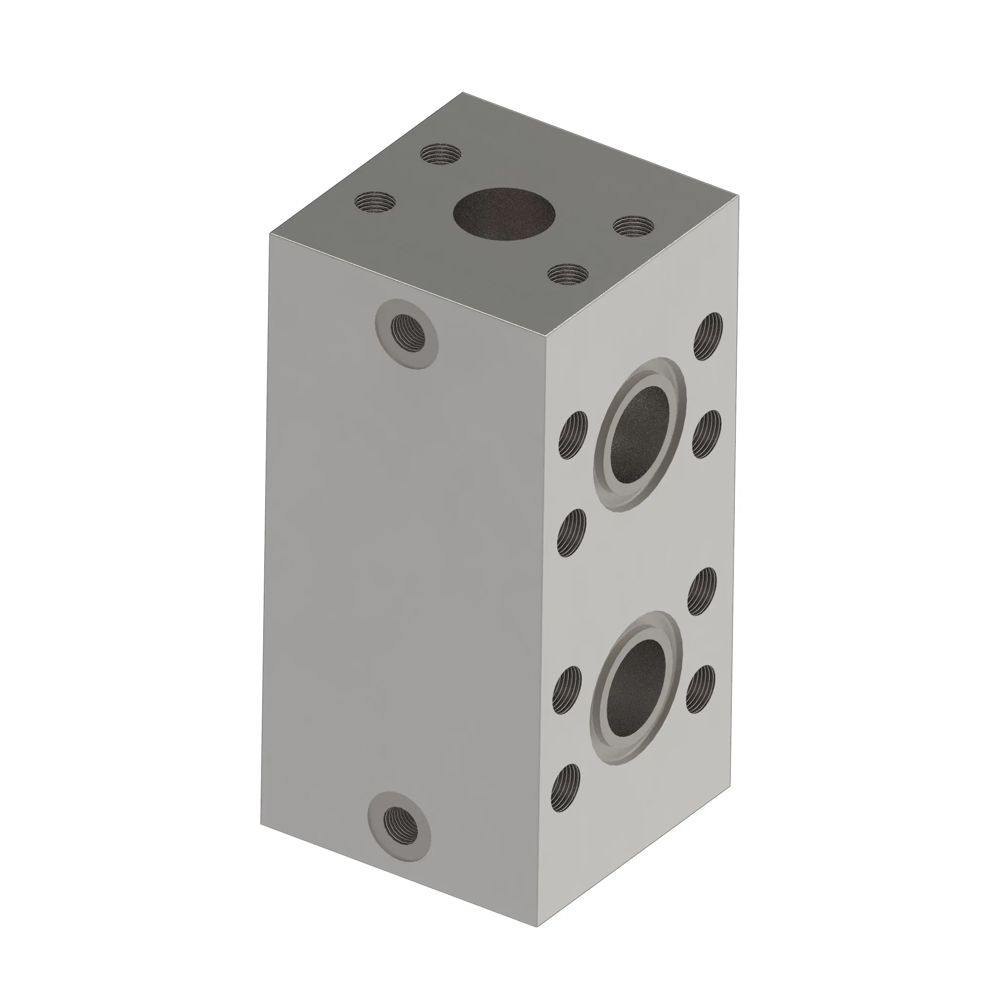 Manifold