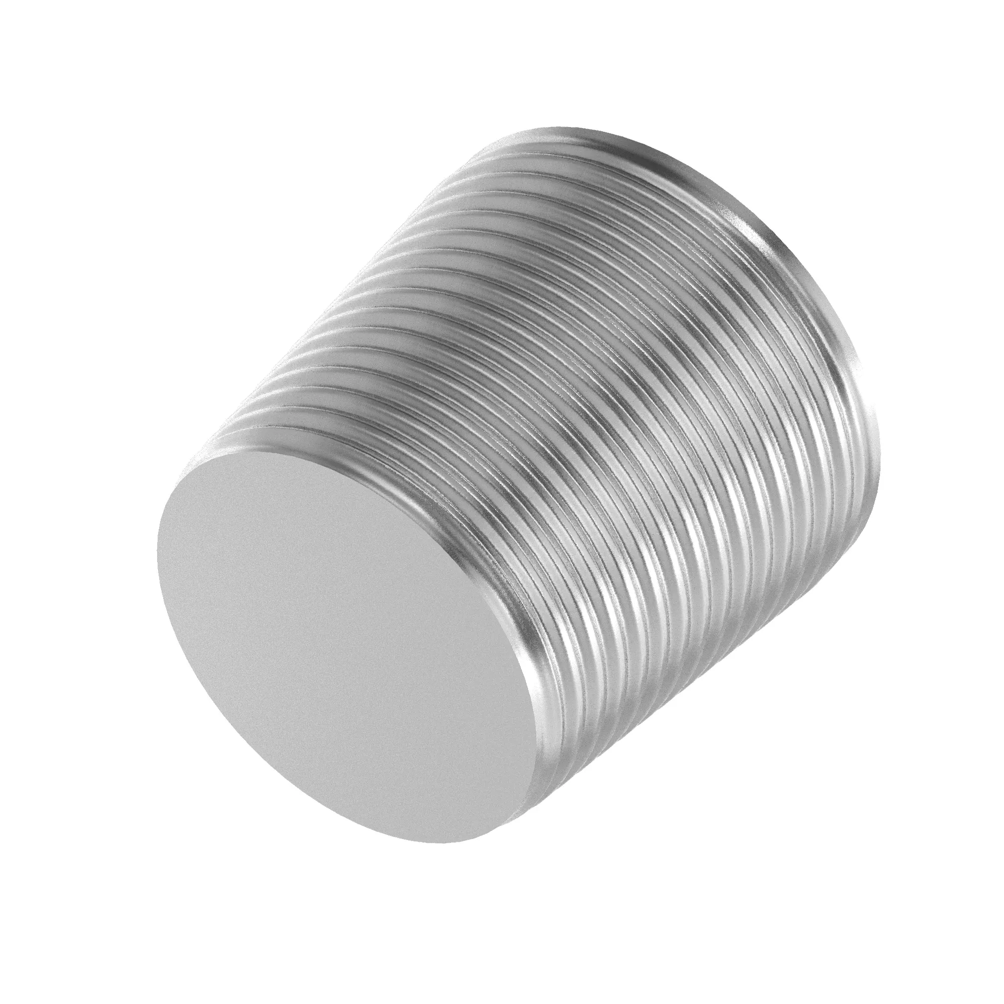 Pipe Plug