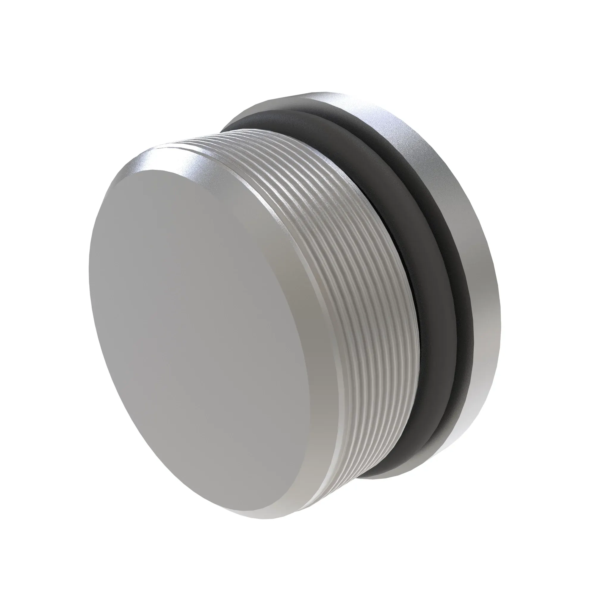 Fitting Plug