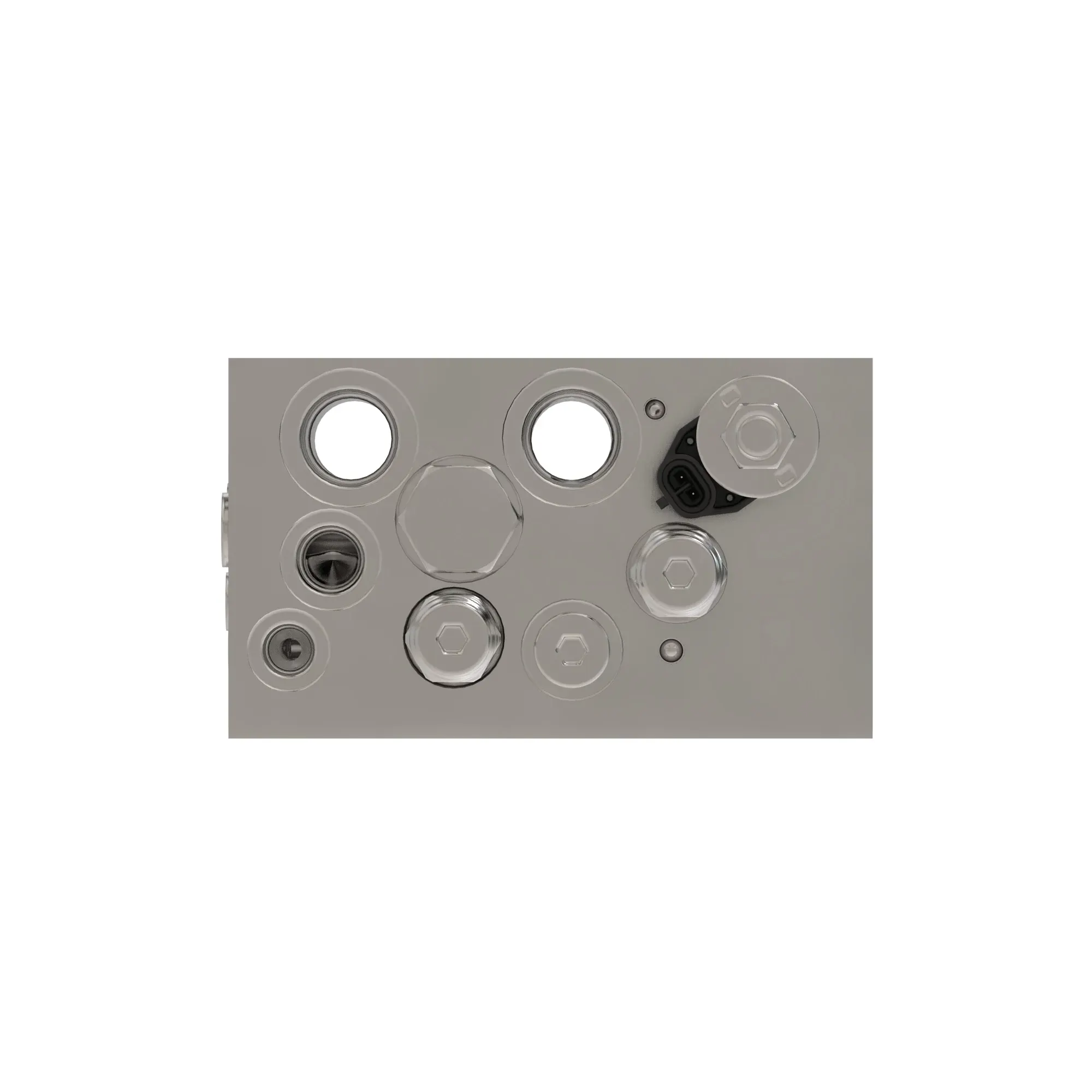Manifold