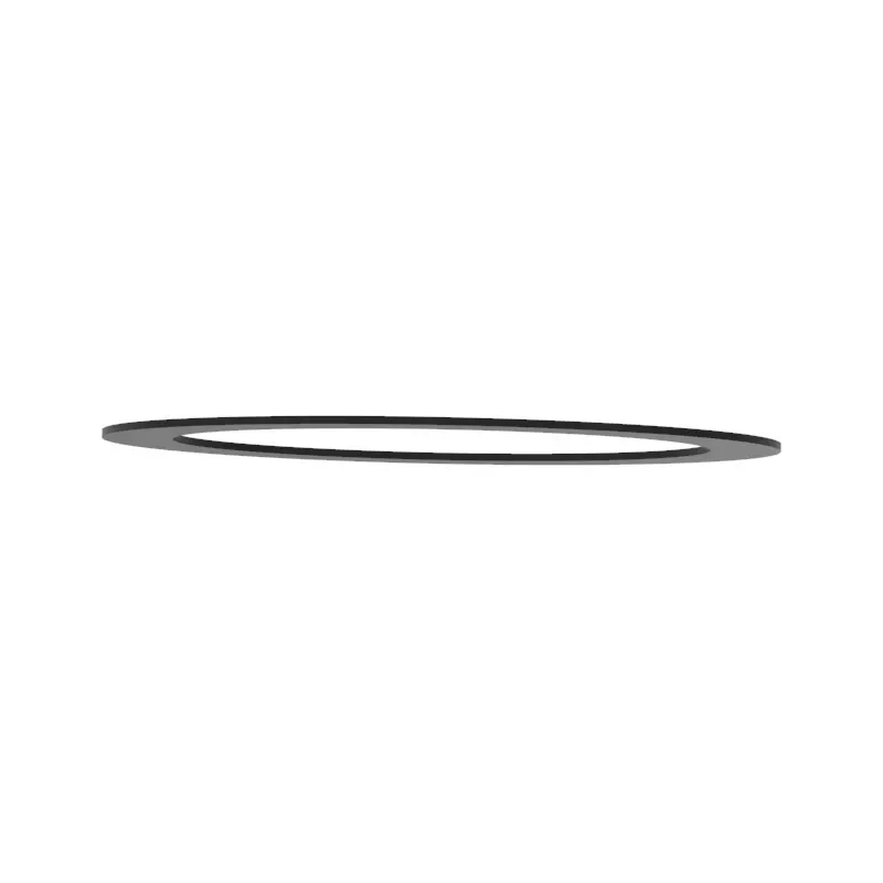 Thrust Washer