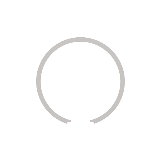 RING-SNAP
