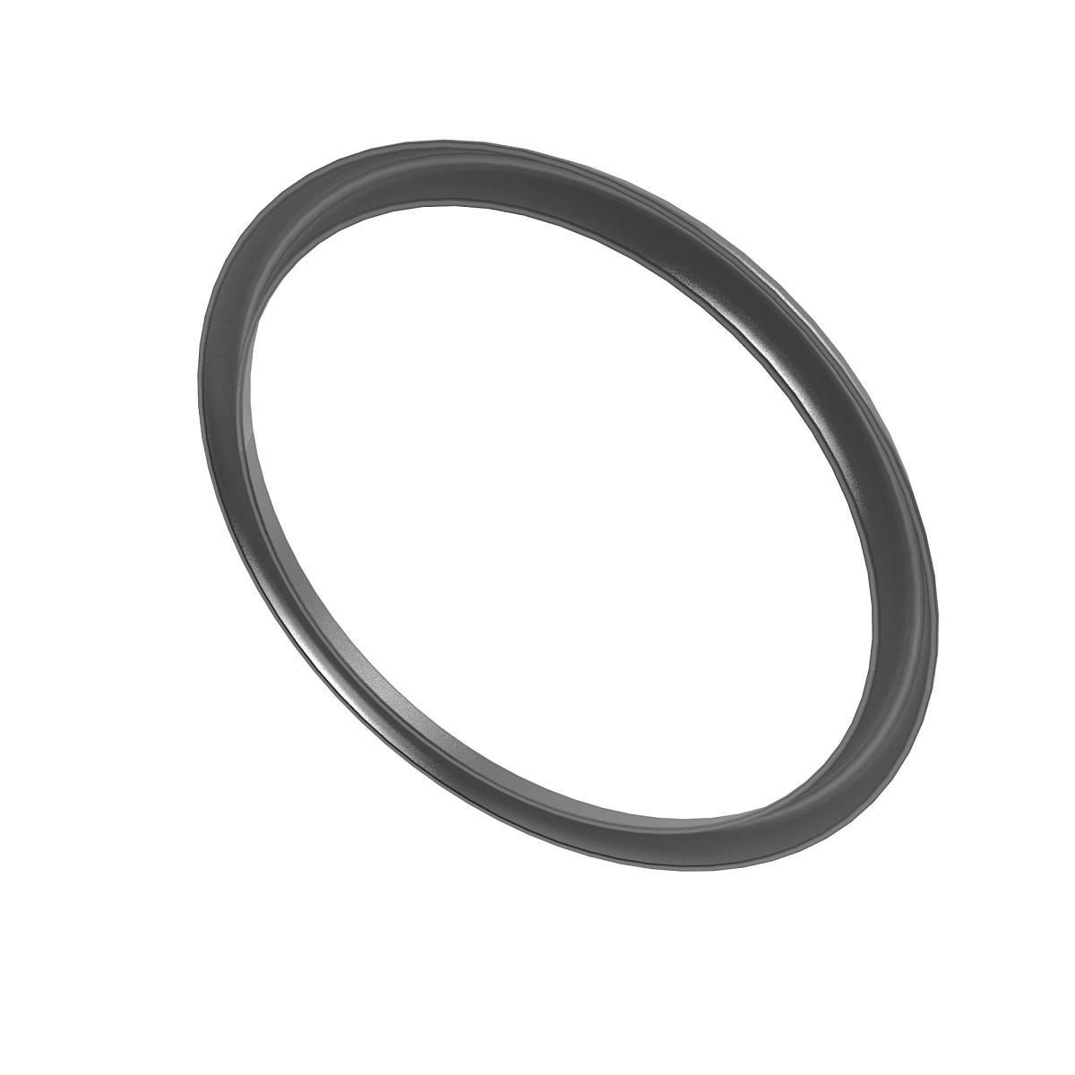 Sealing Ring