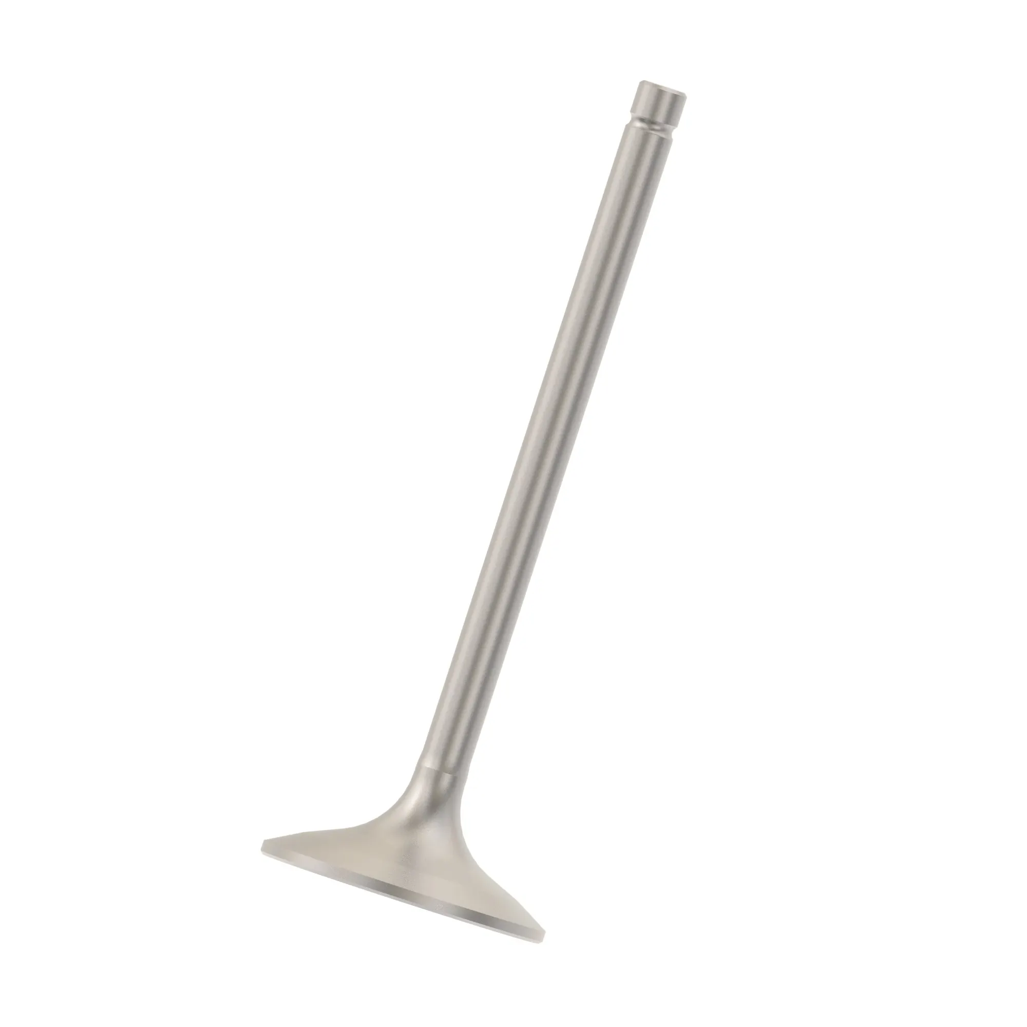 Intake Valve