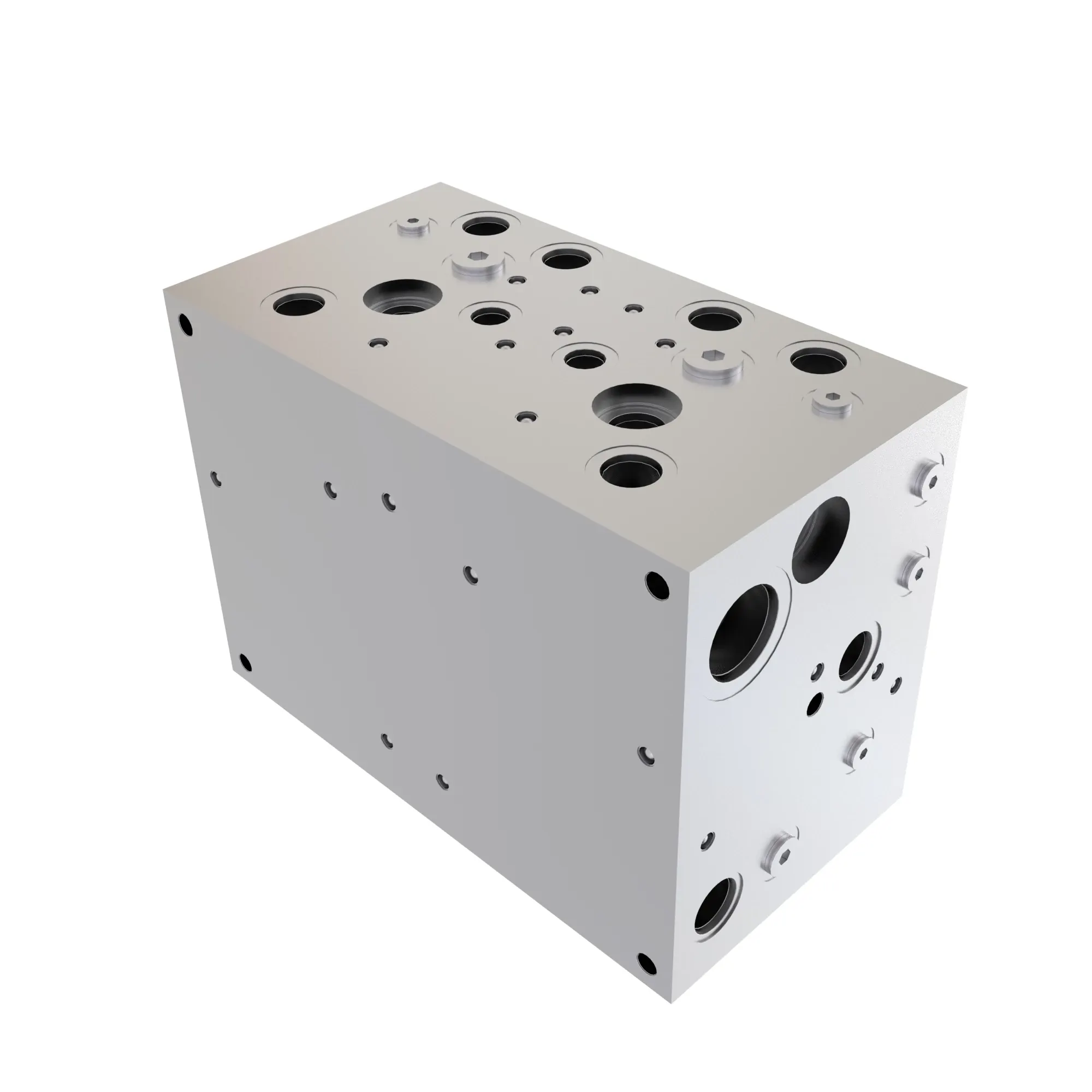 Manifold