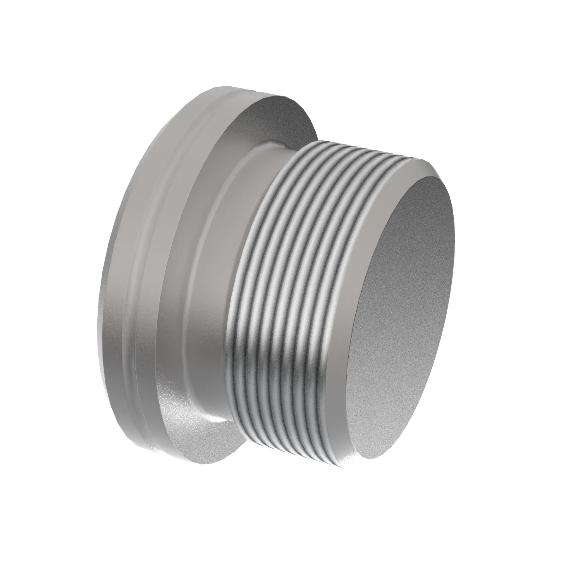 Fitting Plug