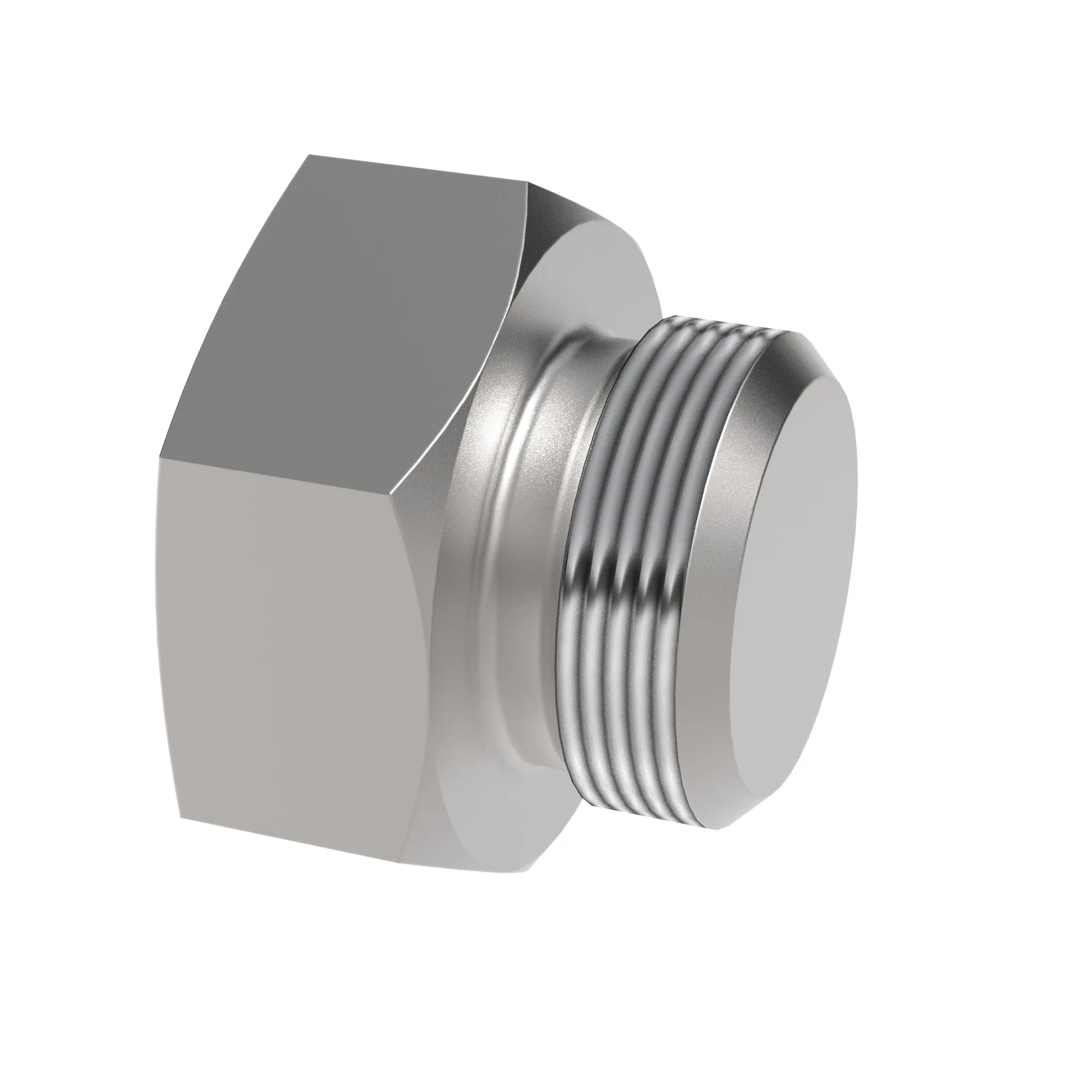 Fitting Plug