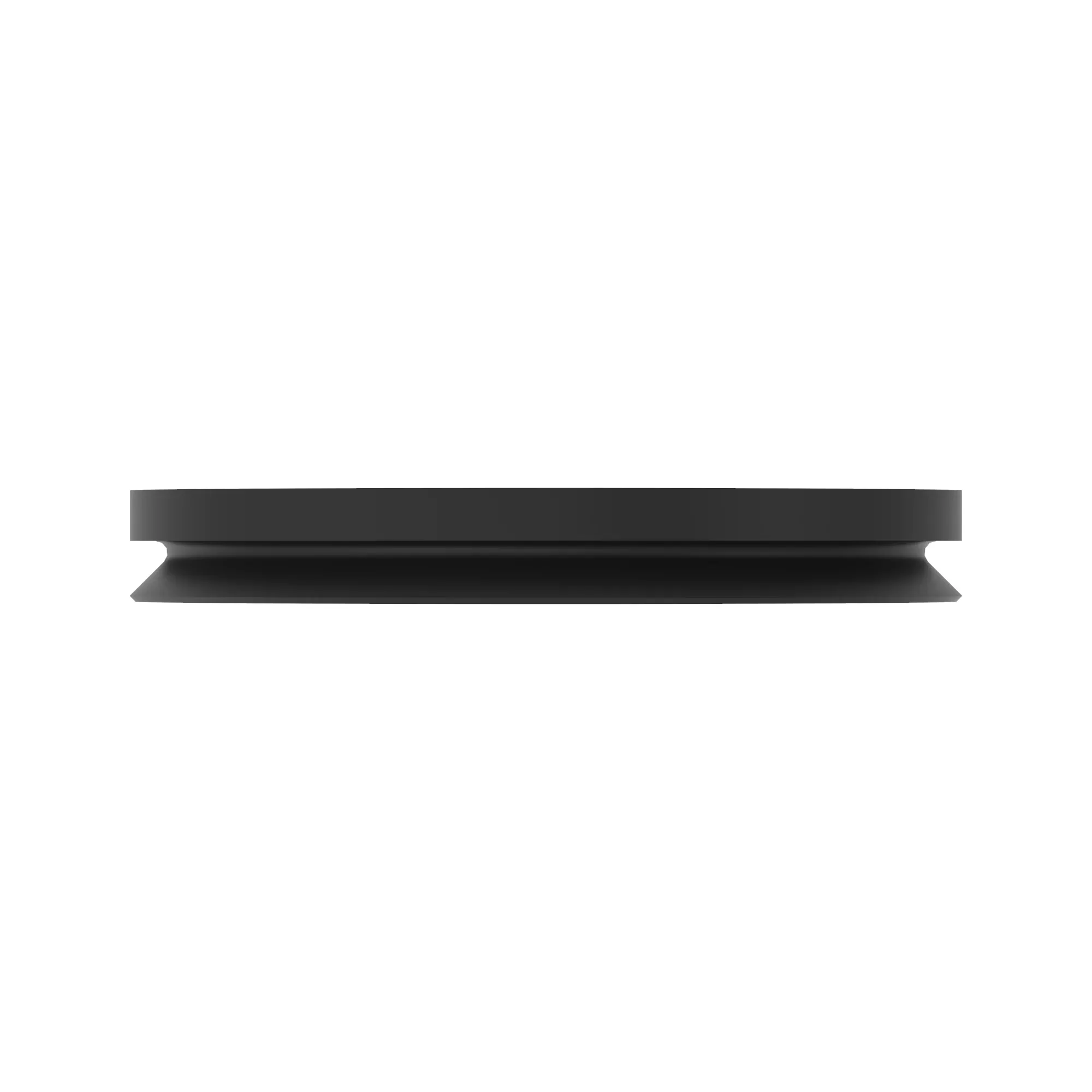 V-Ring Seal