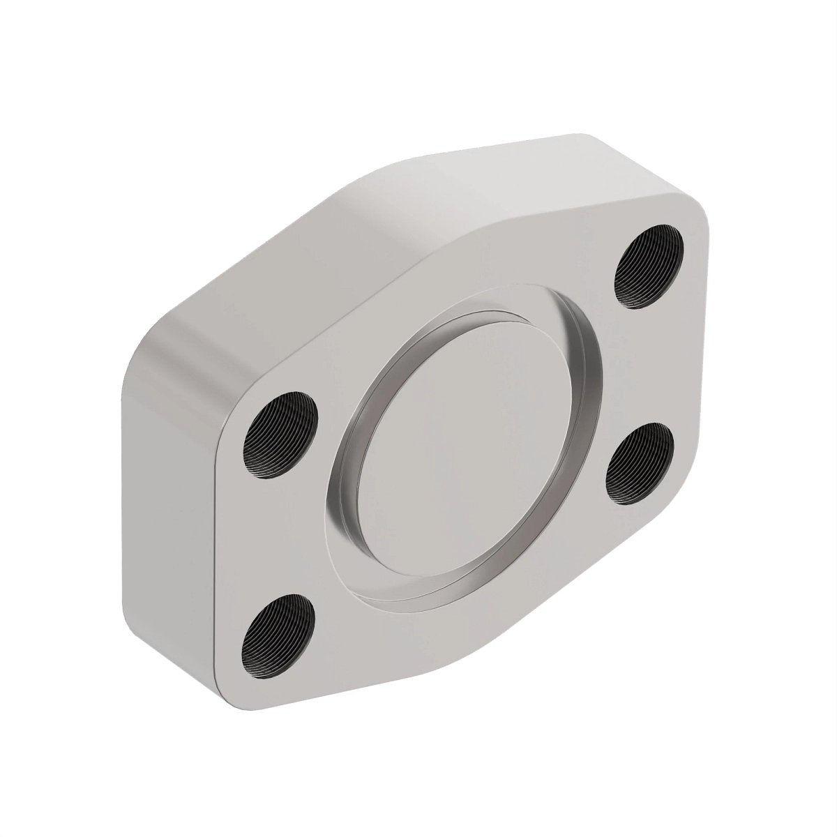 Flange Plug