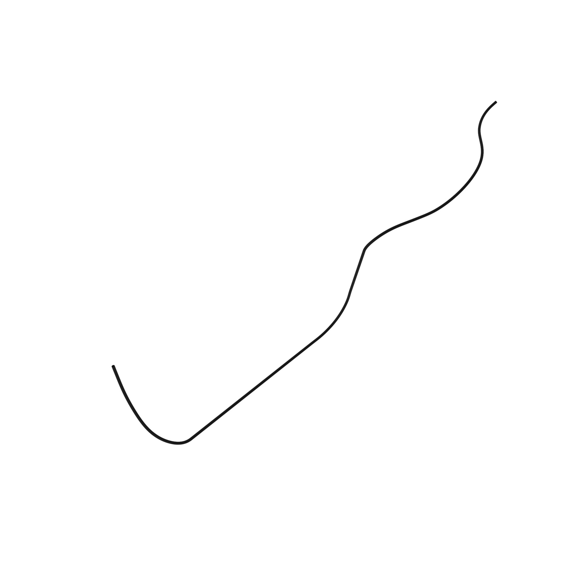 R550436: Ether Injection Hose