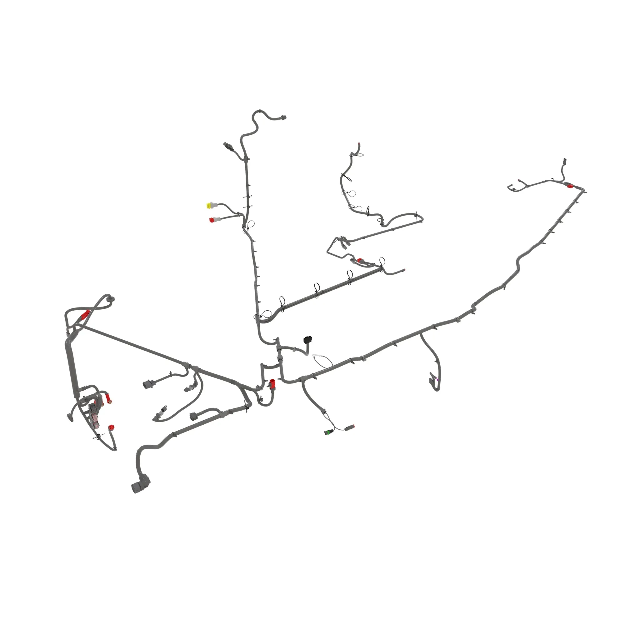 LC2 MAIN T&W