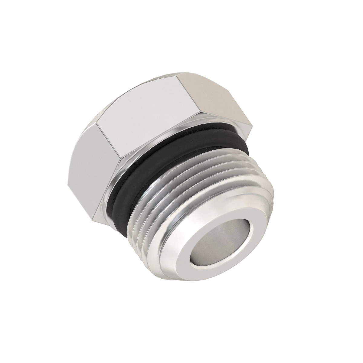 Fitting Plug, SAE -04 Internal Hex