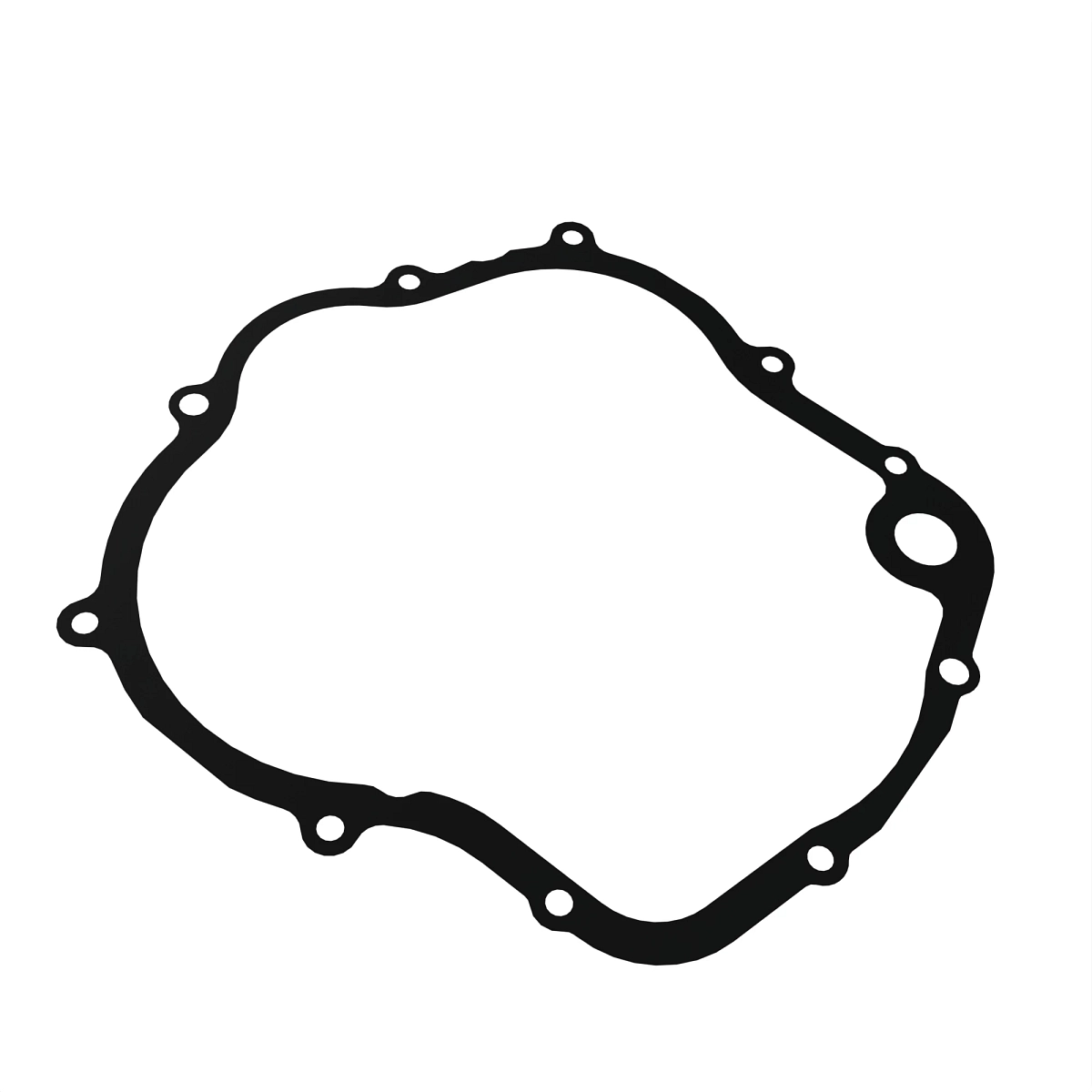 Gasket, Main Case