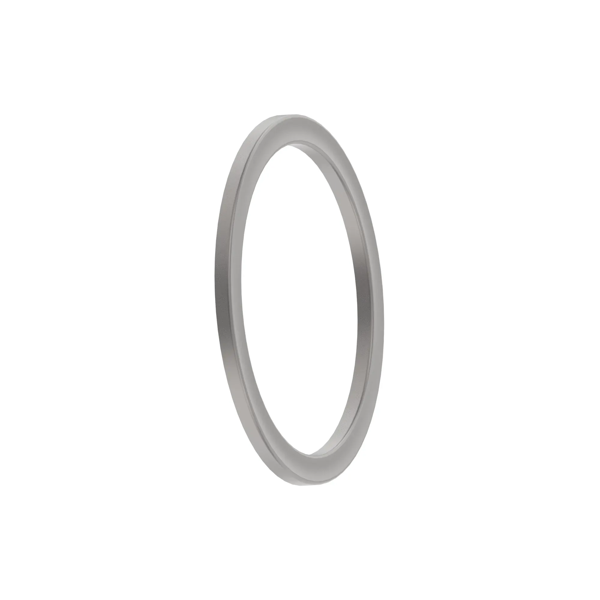 Back-Up Ring