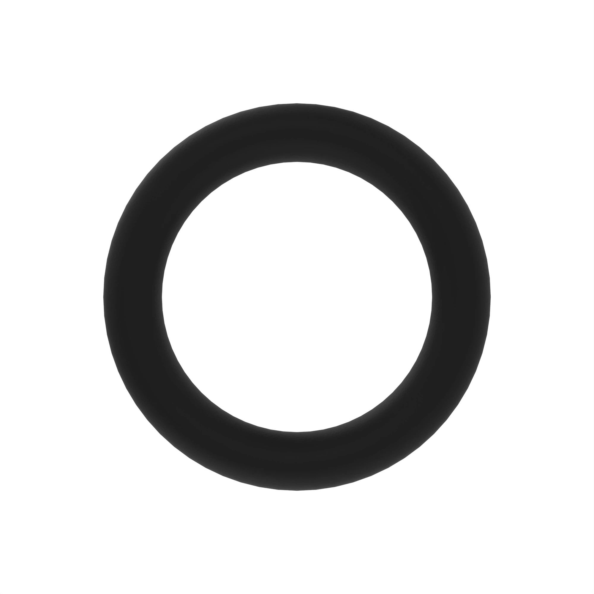 O-Ring