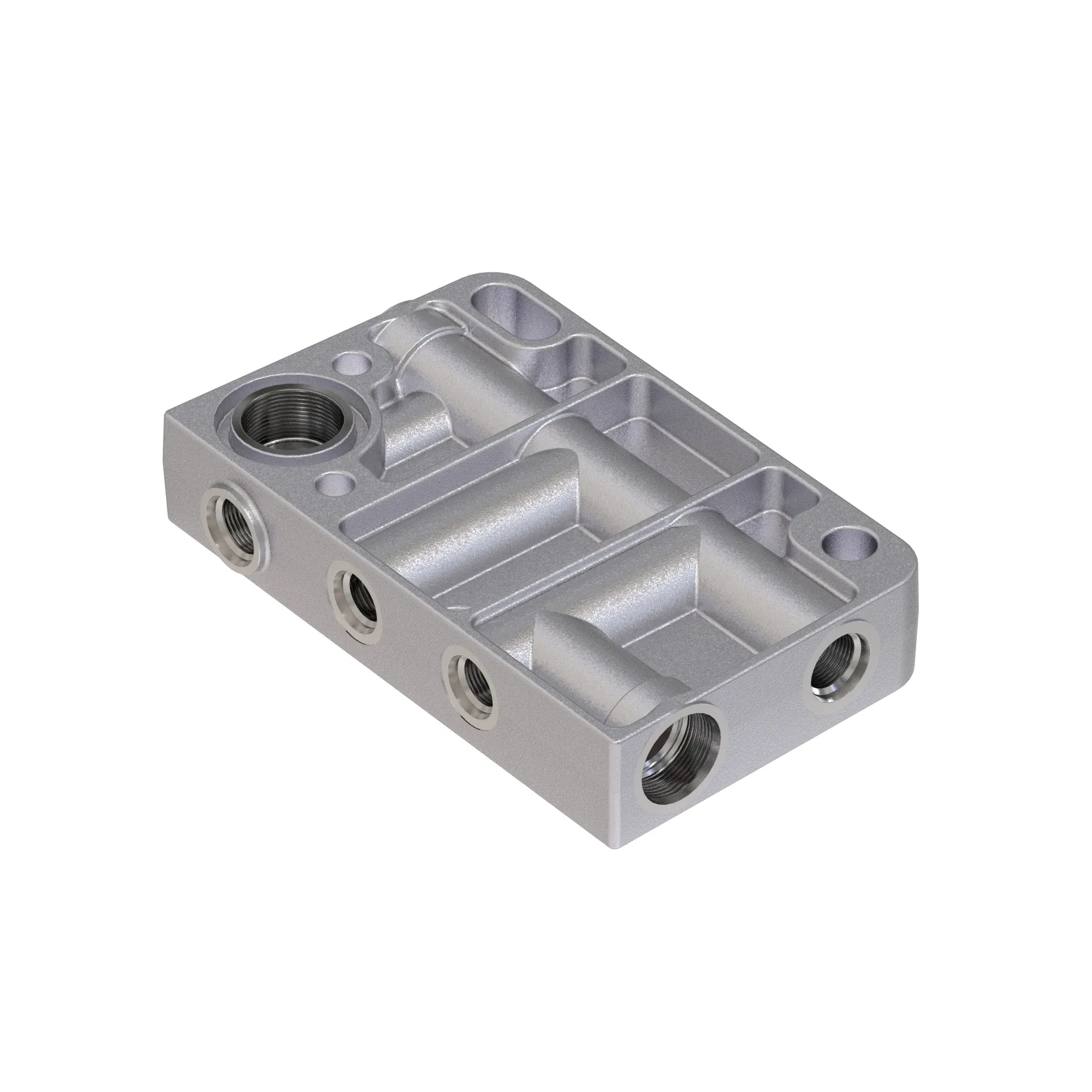 Manifold