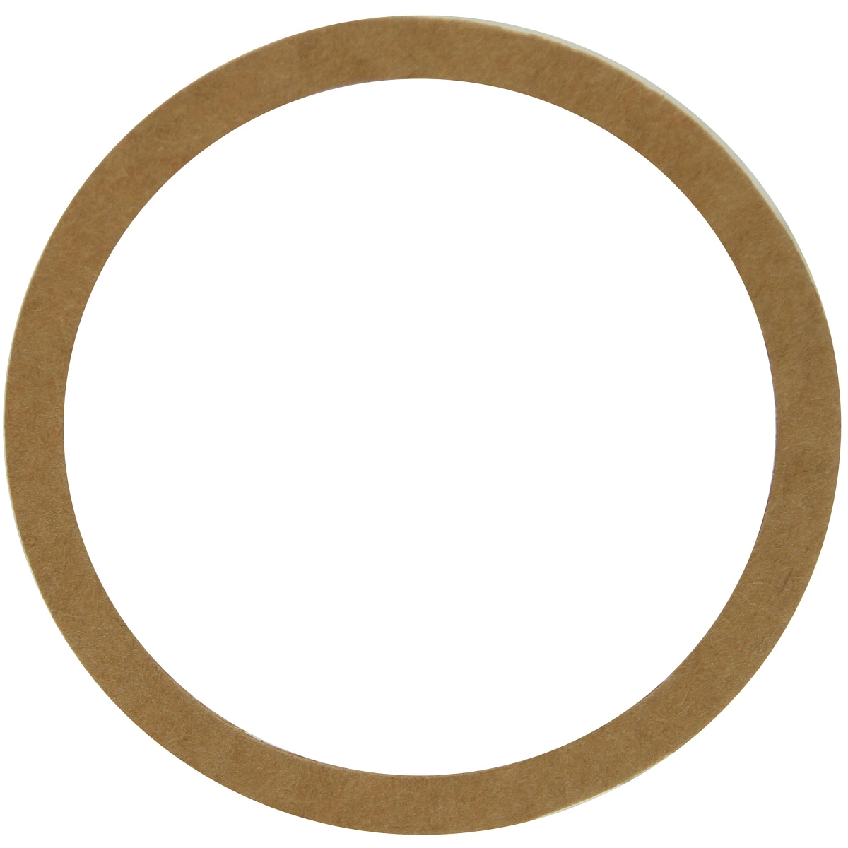Shim, Input Cap, .010"