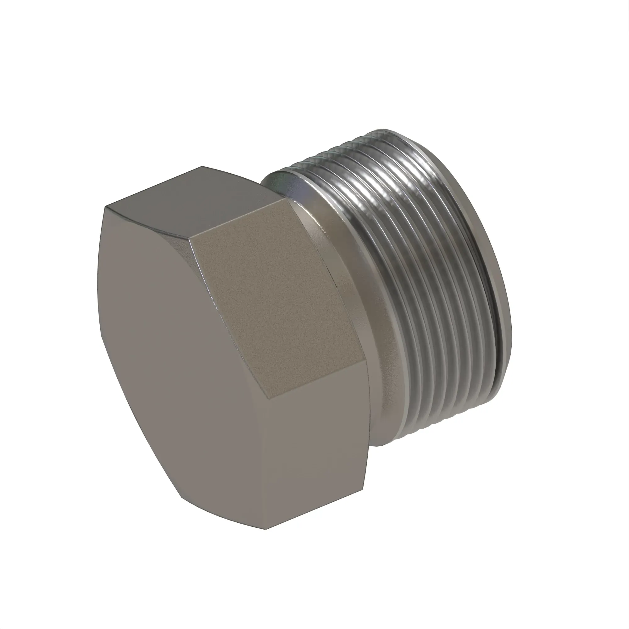 Fitting Plug
