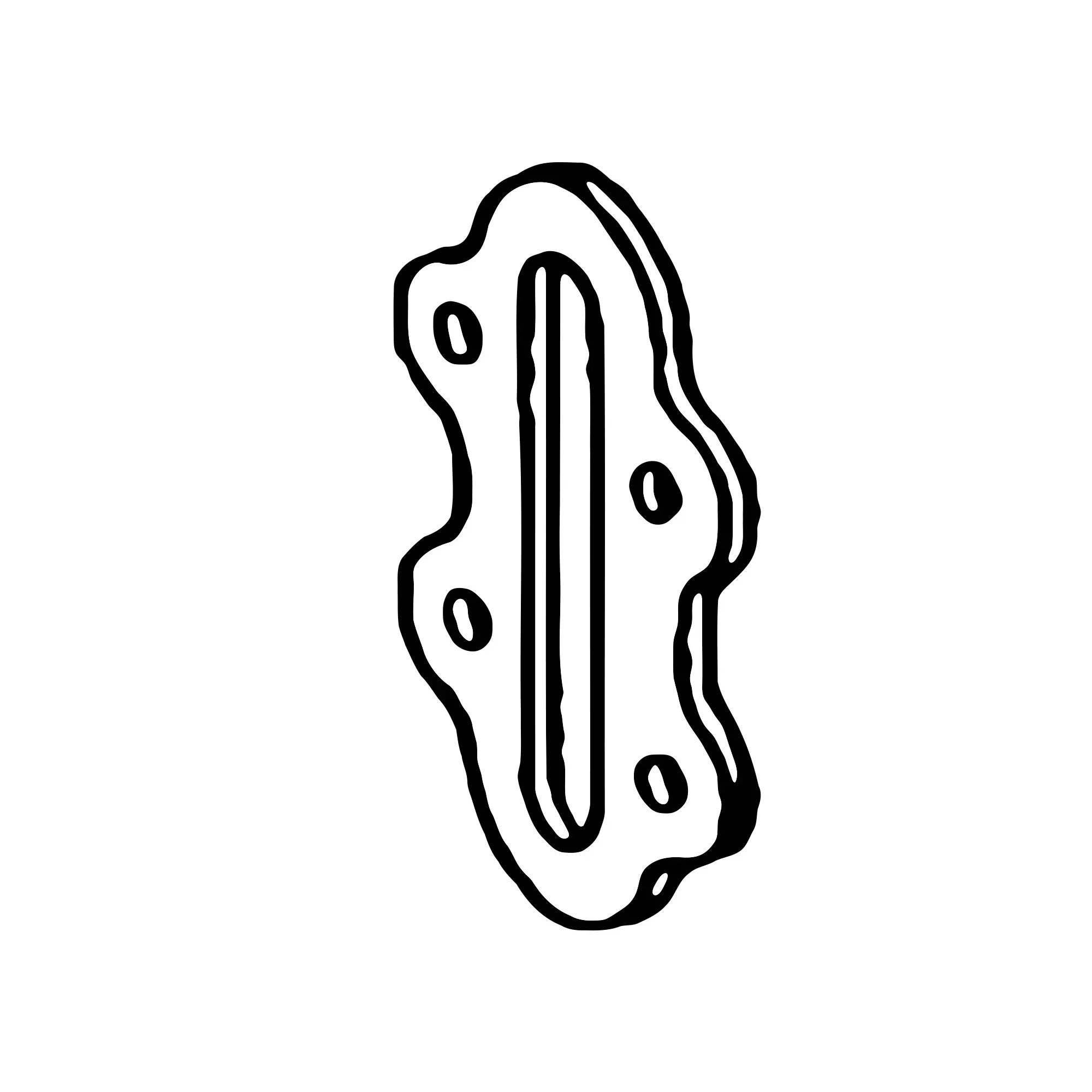 Guide